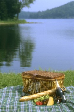picnic.jpg